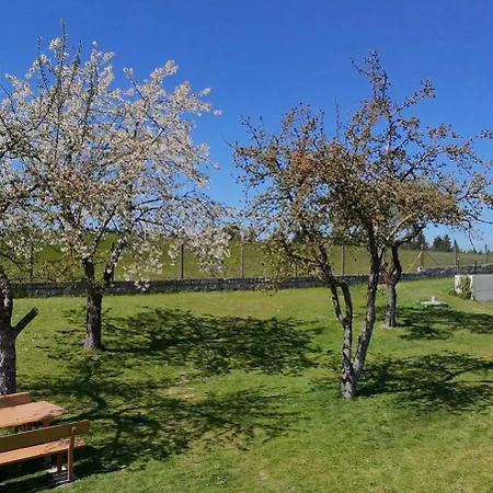 Muehlviertler Auszeit Apartment *